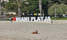 Playa para perros