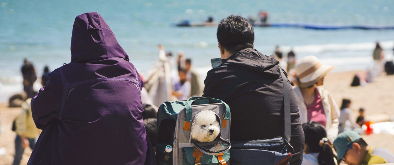 portada_viaje_mascota