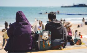 portada_viaje_mascota