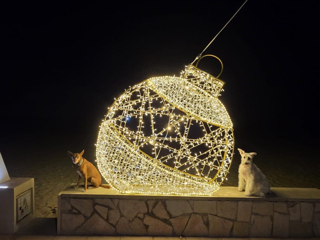 pet-friendly-christmas